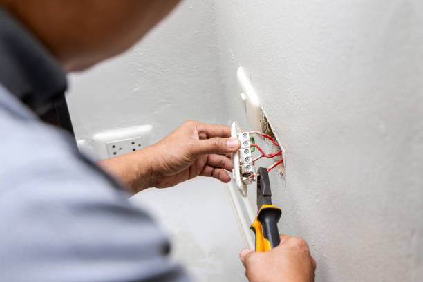 Best Outdoor Lighting Installation  in Baraga, MI