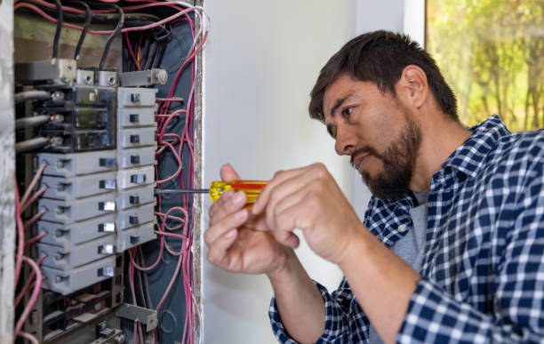Best Electrical Repair Services  in Baraga, MI